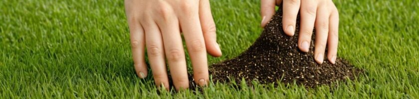 Rasen säen ohne Walze: Tipps für eine erfolgreiche Rasenansaat